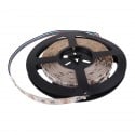 RGBW LED Strip | 60/m - Size:5050 - 12V DC | Extra White Channel