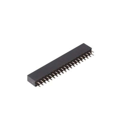 40 Pin 2.54mm Straight DIL Pin Header - Female - Cover