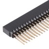 40 Pin 2.54mm Straight DIL Pin Header - Female, Extended Pins - Zoomed