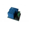 1 Channel 12V Relay Module 30AMP