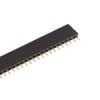40 Pin 2.54mm Straight SIL Pin Header - Female - Zoomed